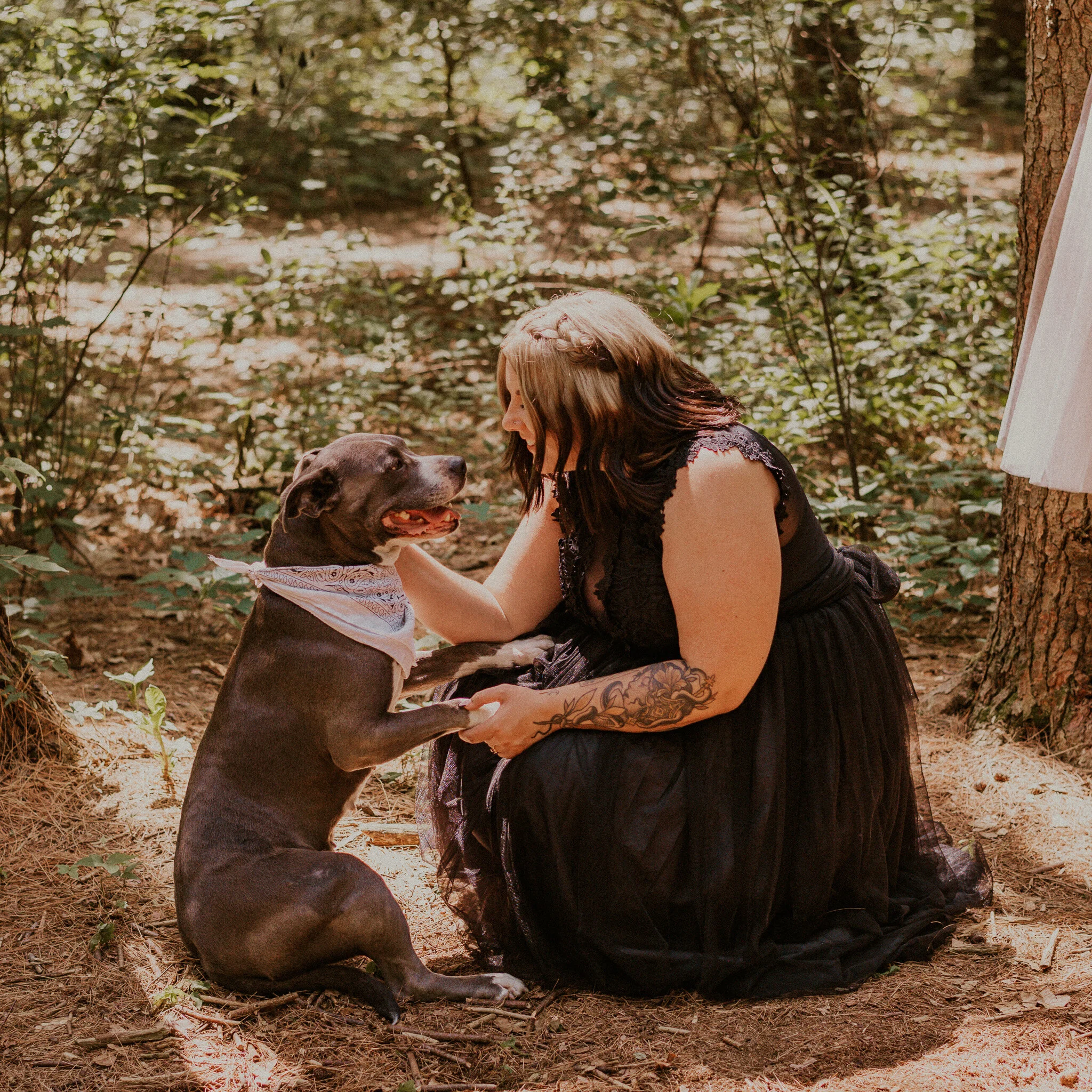 michigan forest elopement with dogs