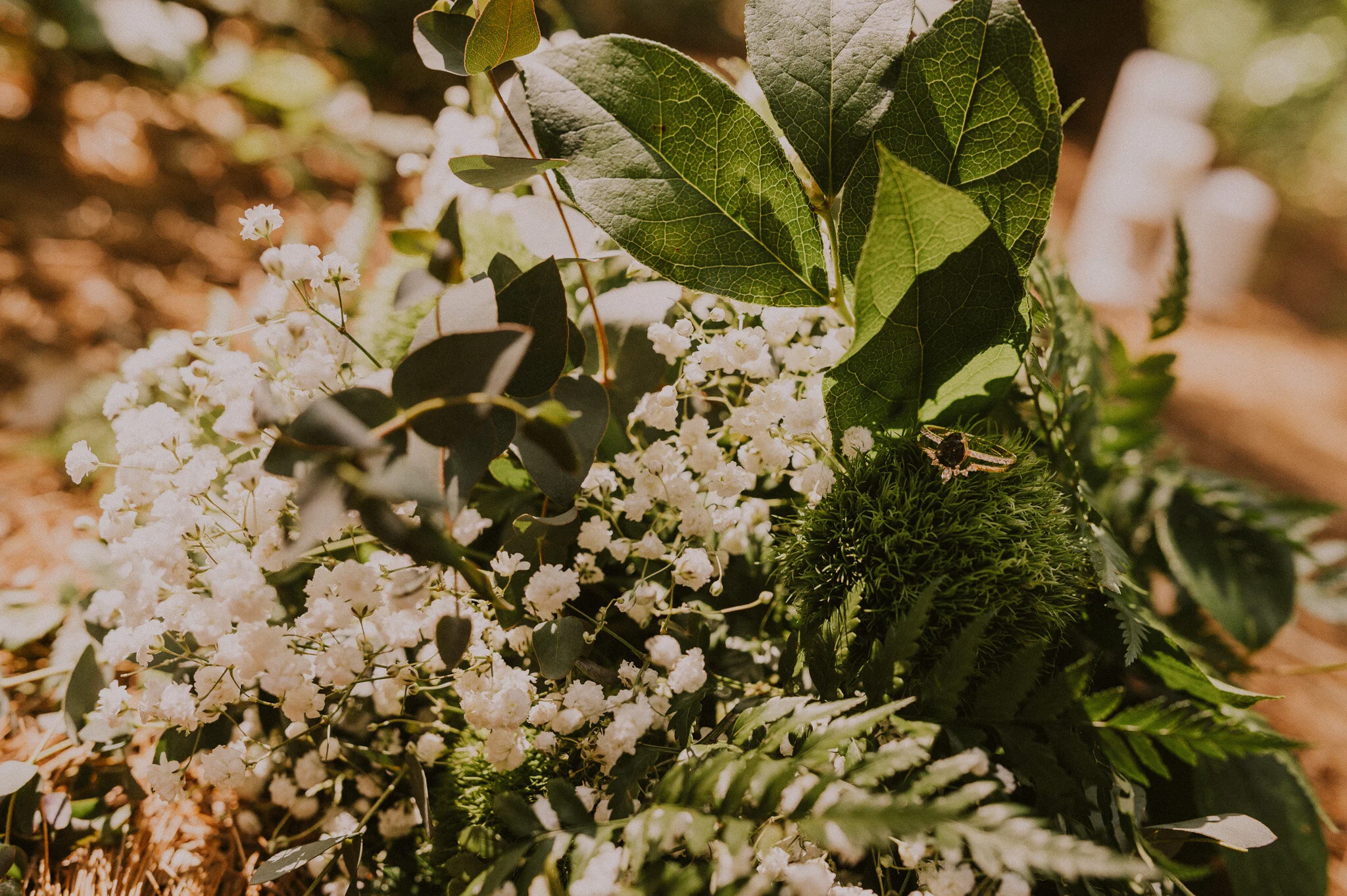 michigan forest elopement