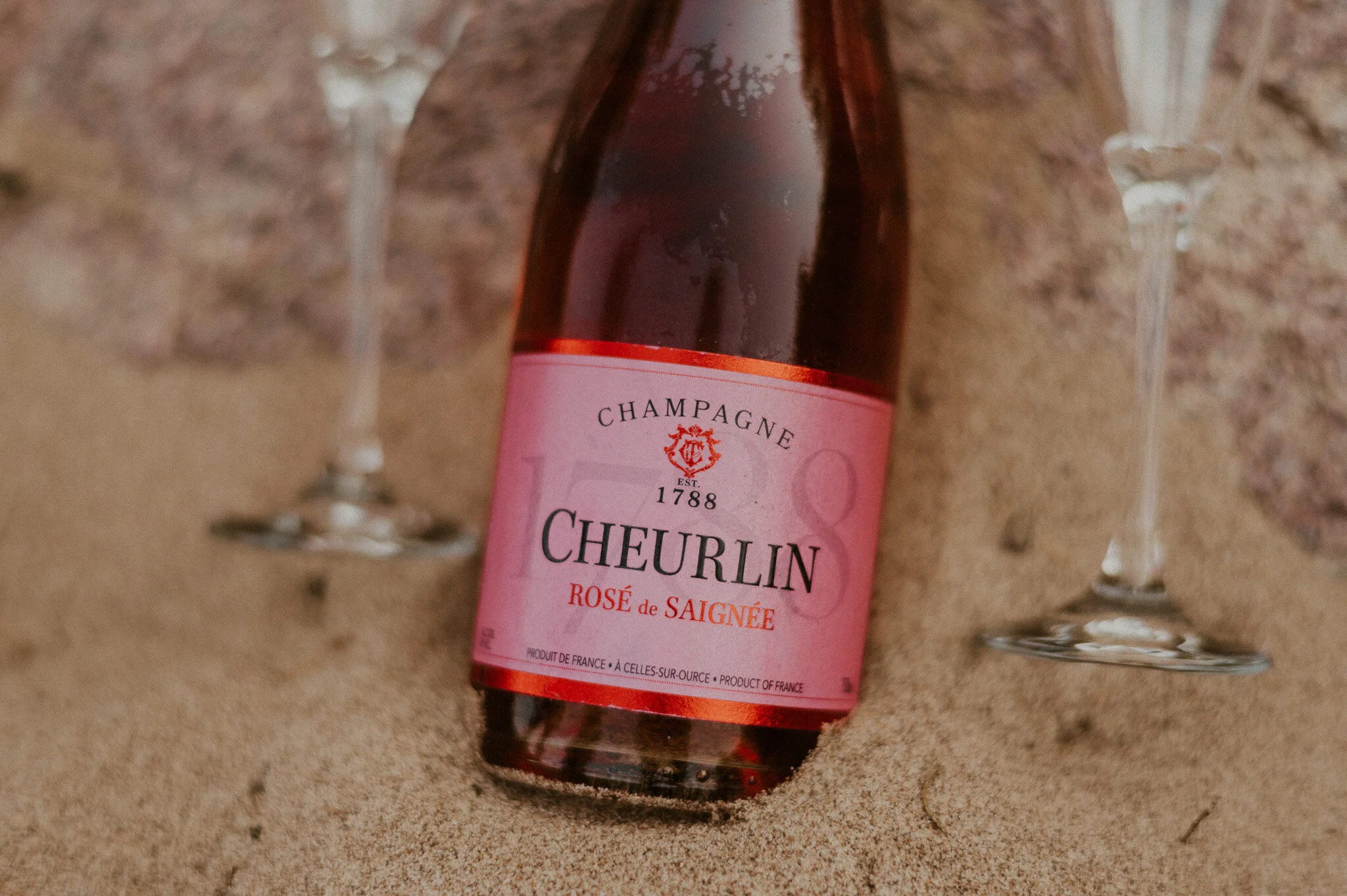 Adrianne and Ken brought champagne to celebrate after their vow exchange