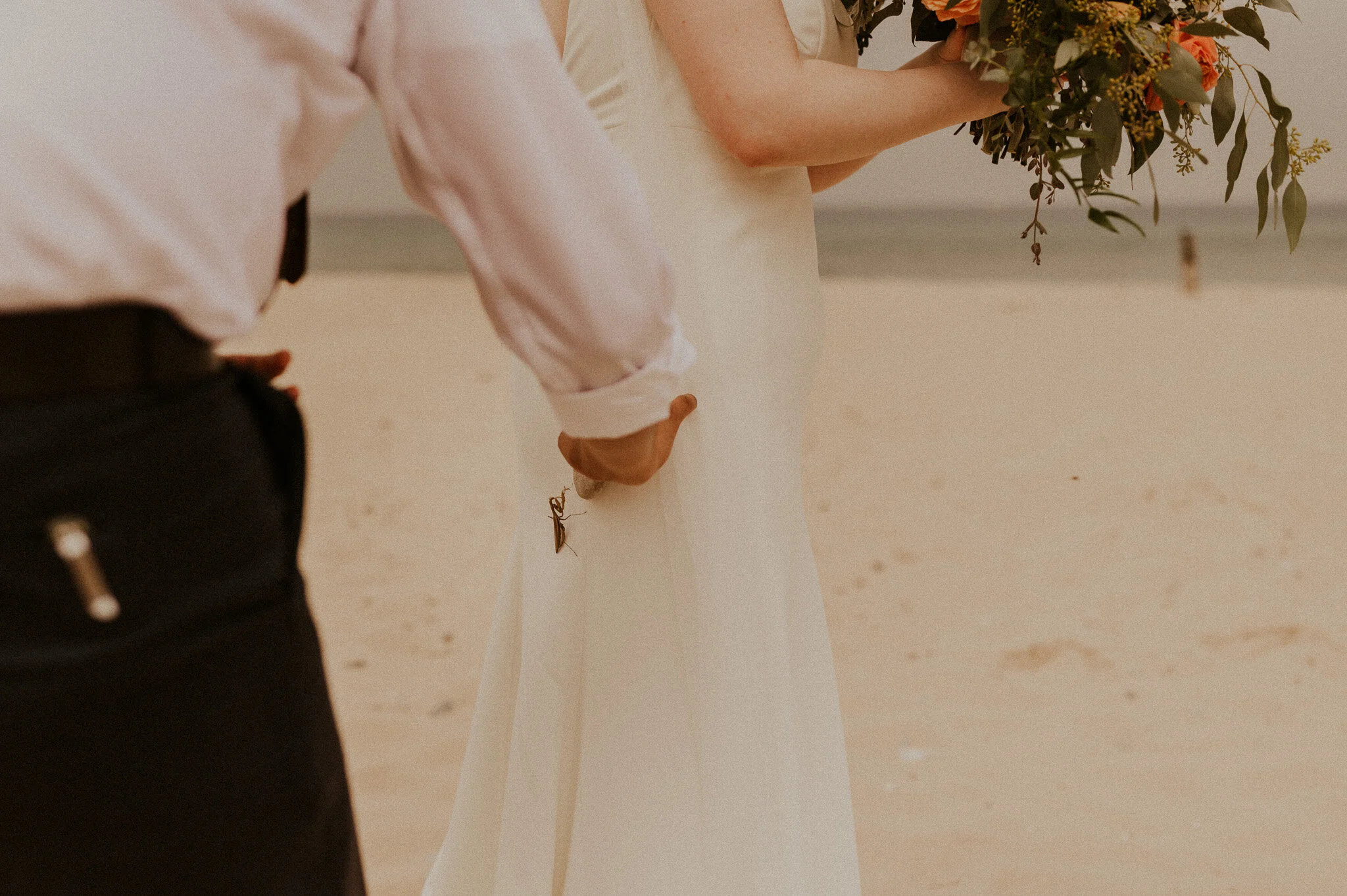 This praying mantis hitched a ride to the beach on Lauren’s dress. They’re actually a sign of good luck!