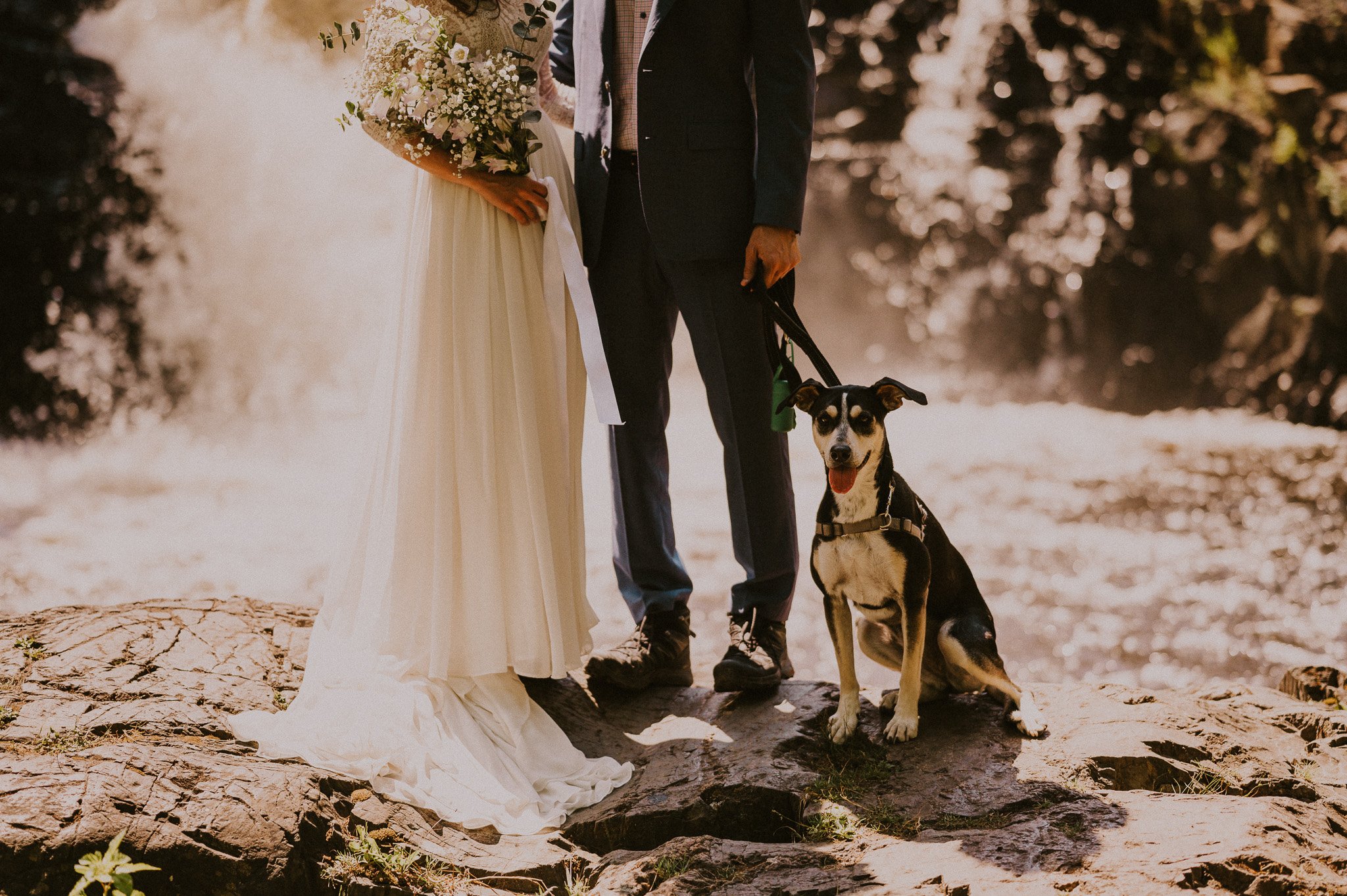 how to include dog in elopement