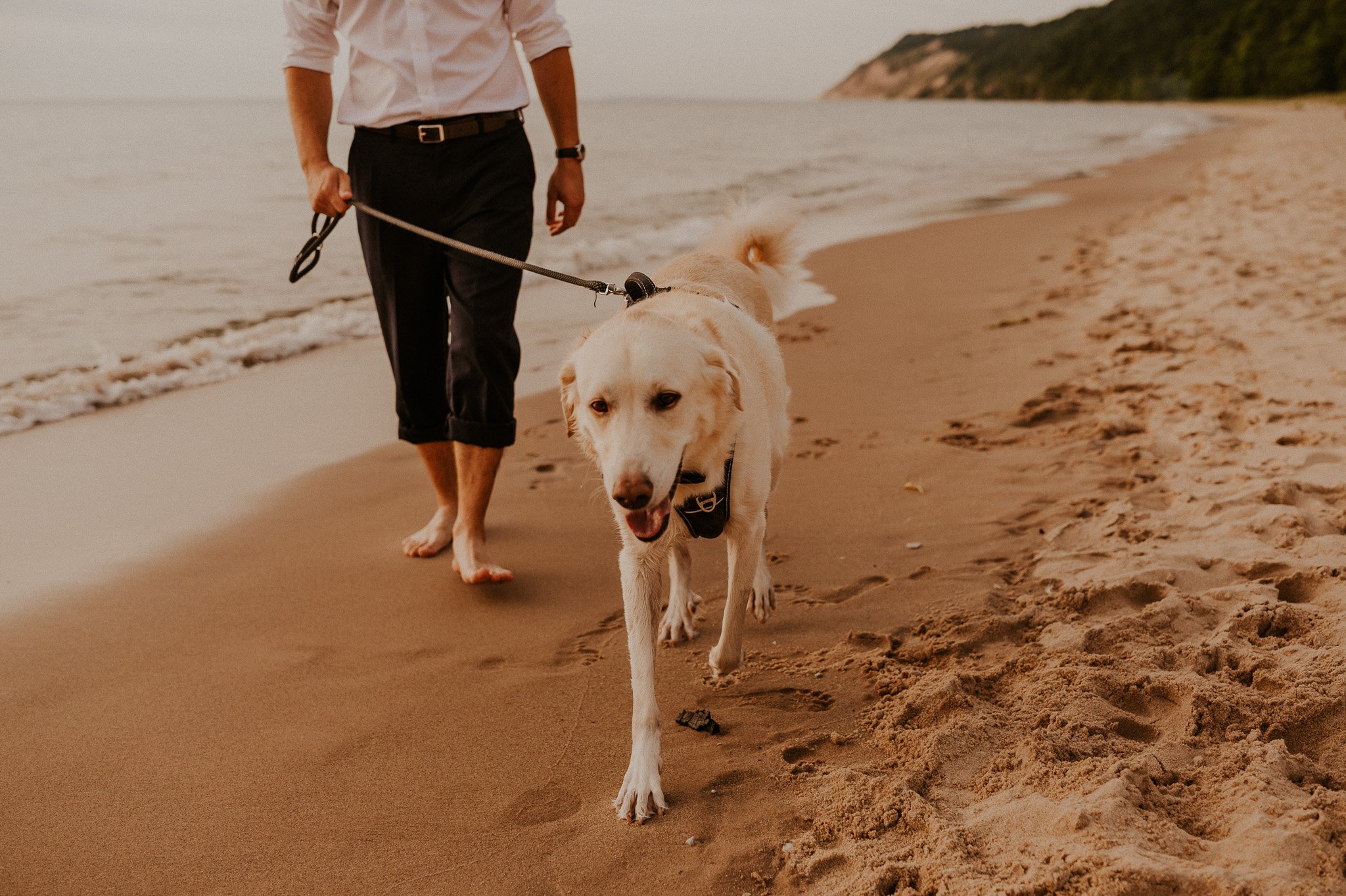 how to include dog in elopement