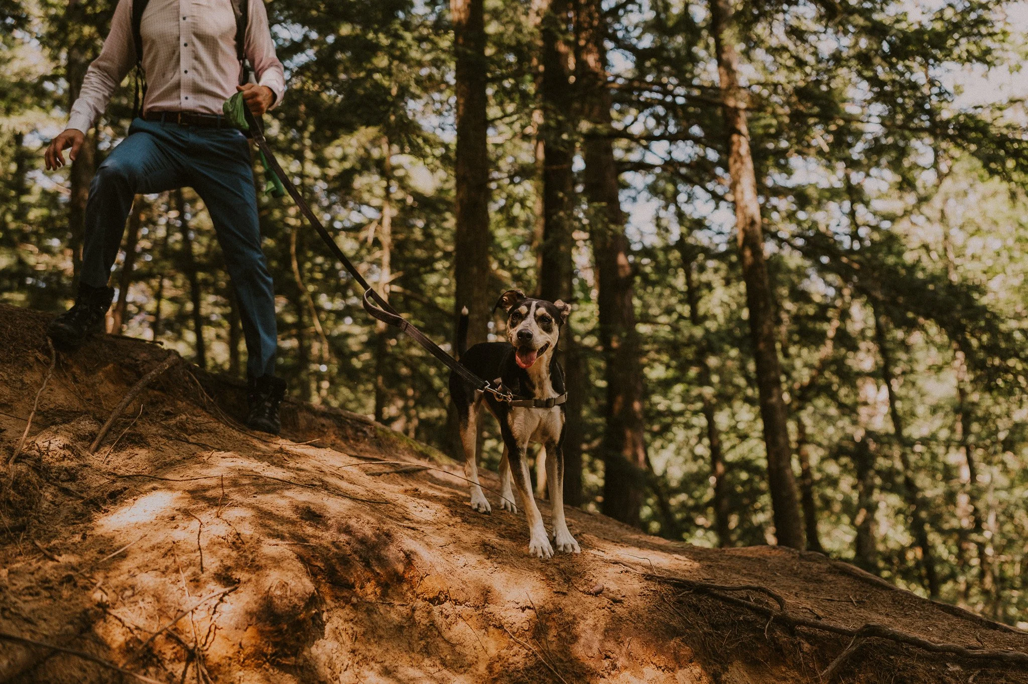 black rocks elopement