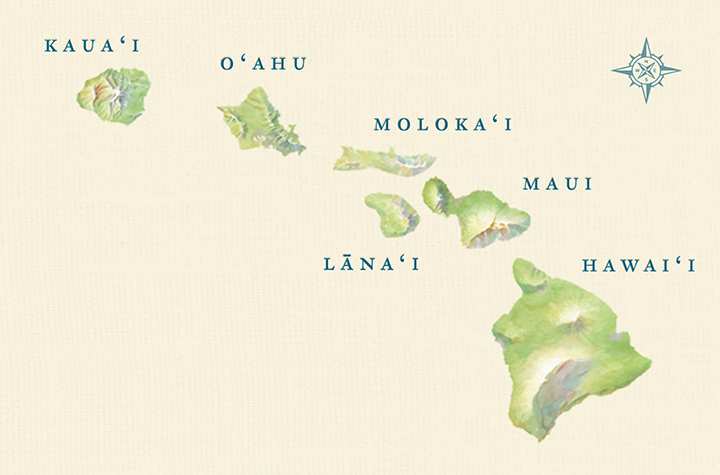 best island to elope hawaii