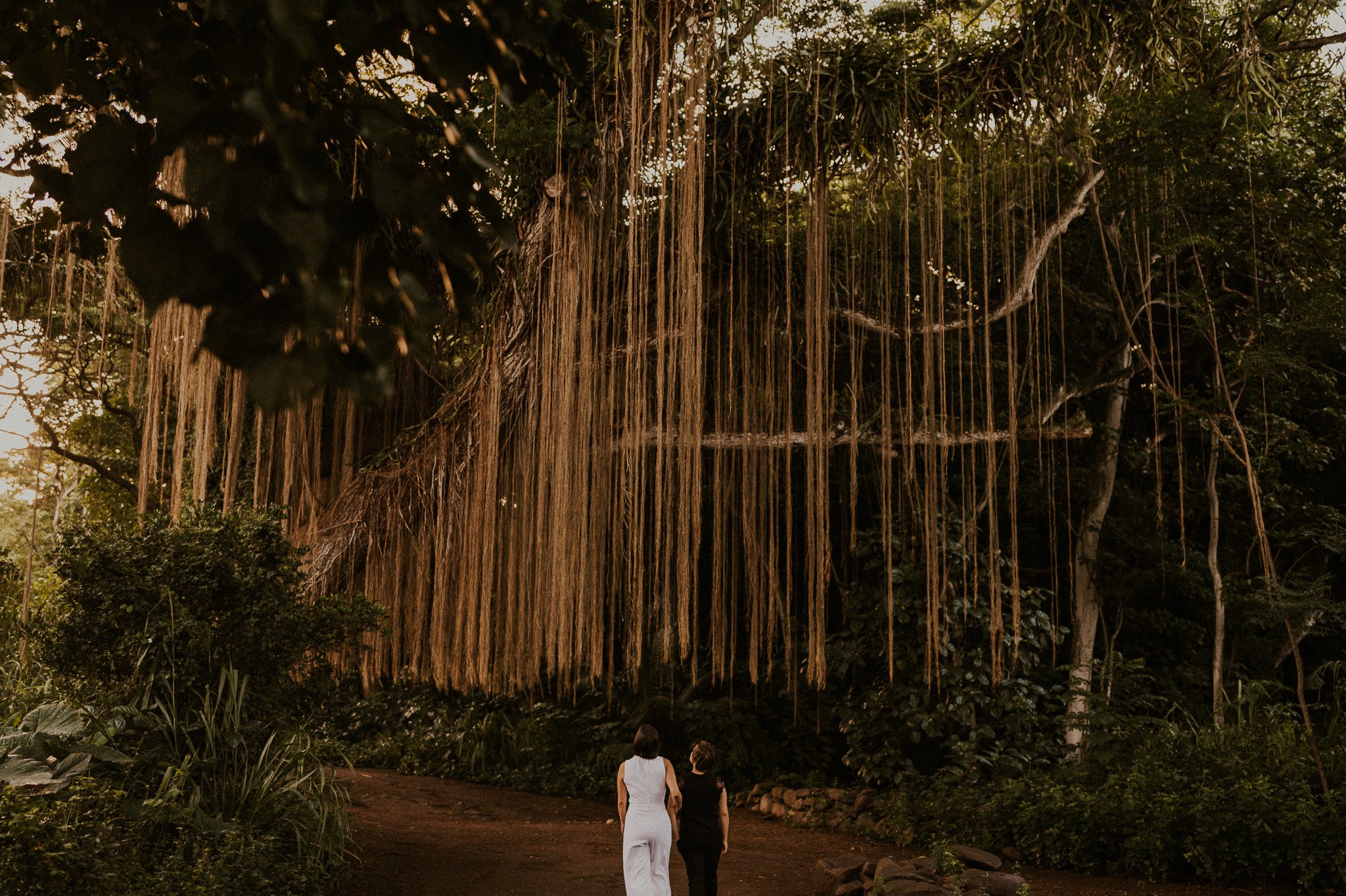 maui rainforest elopement