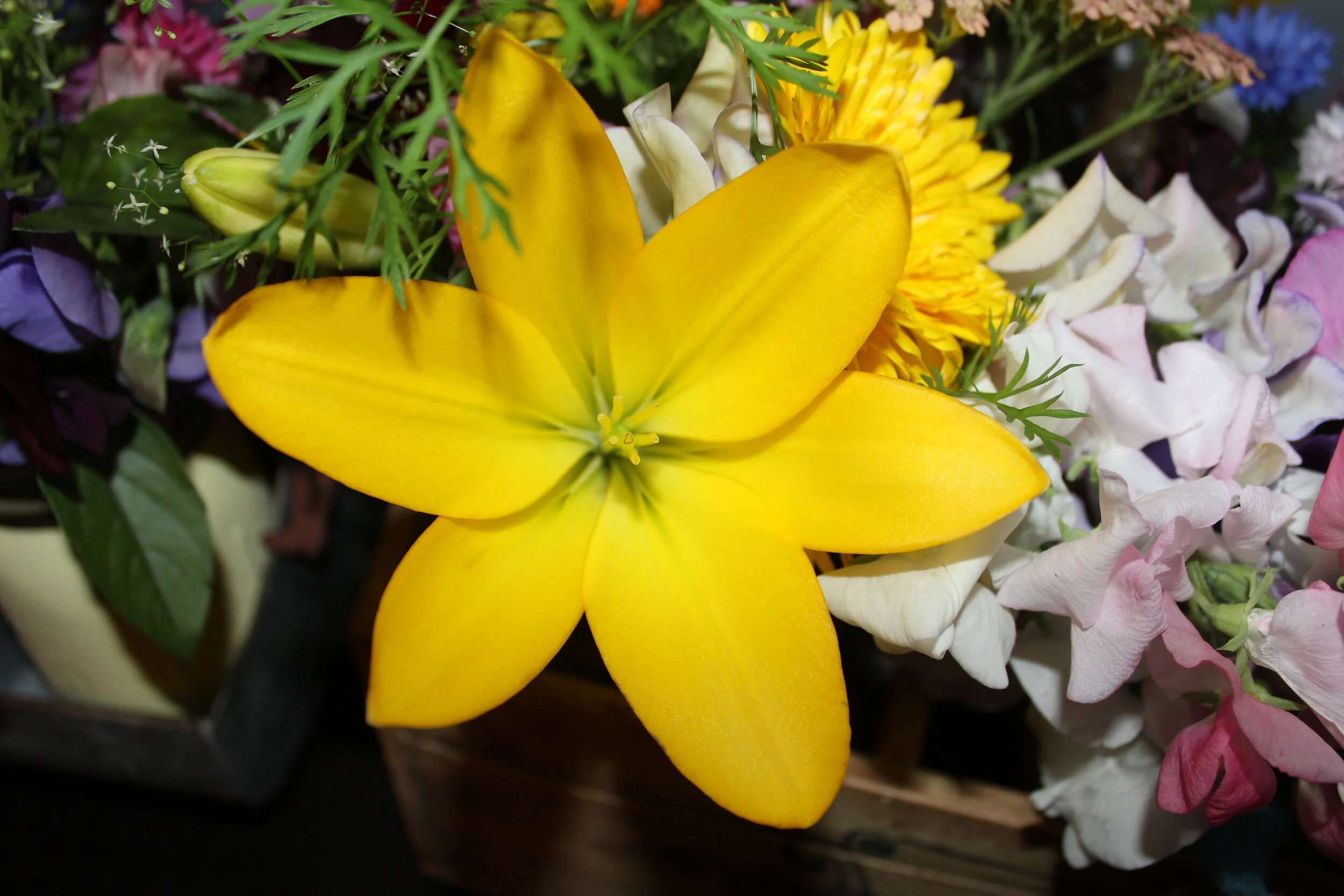 Close-up of a yellow lily surrounded by assorted colorful flowers.