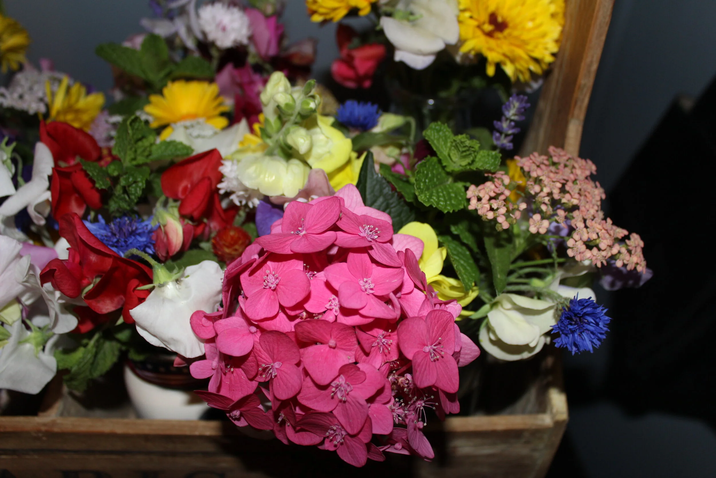 A colorful arrangement of assorted flowers including pink hydrangeas, red and white blooms, yellow marigolds, blue cornflowers, and green foliage in a wooden box.