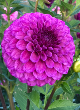 Screenshot 2026-02-25 095658.png