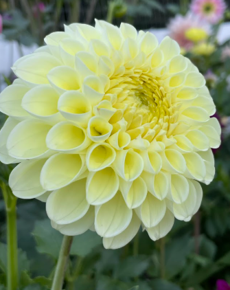 Screenshot 2026-02-25 100741.png