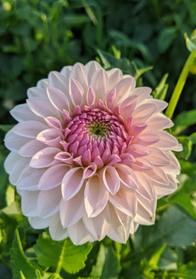 Screenshot 2026-02-25 101351.png