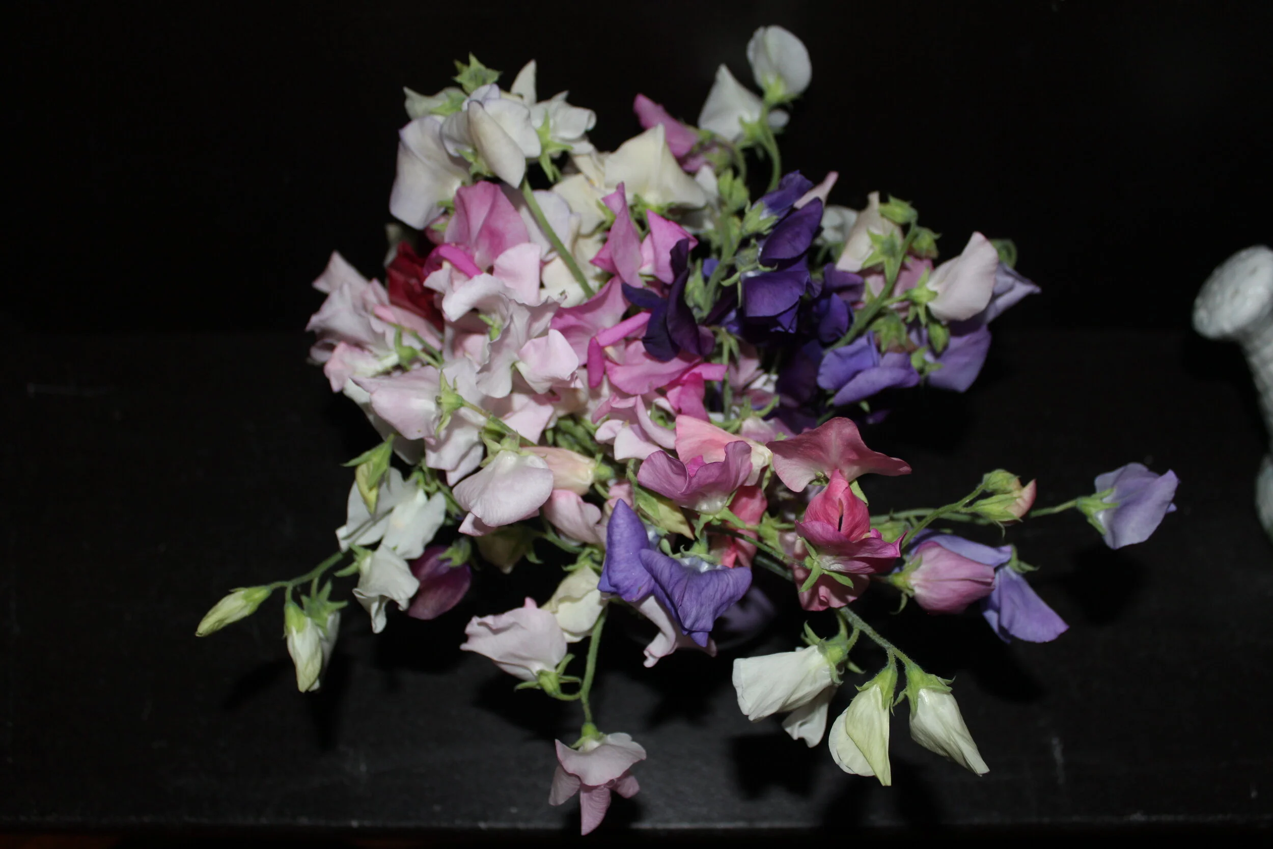 Bouquet of assorted sweet pea flowers in various colors against a dark background.
