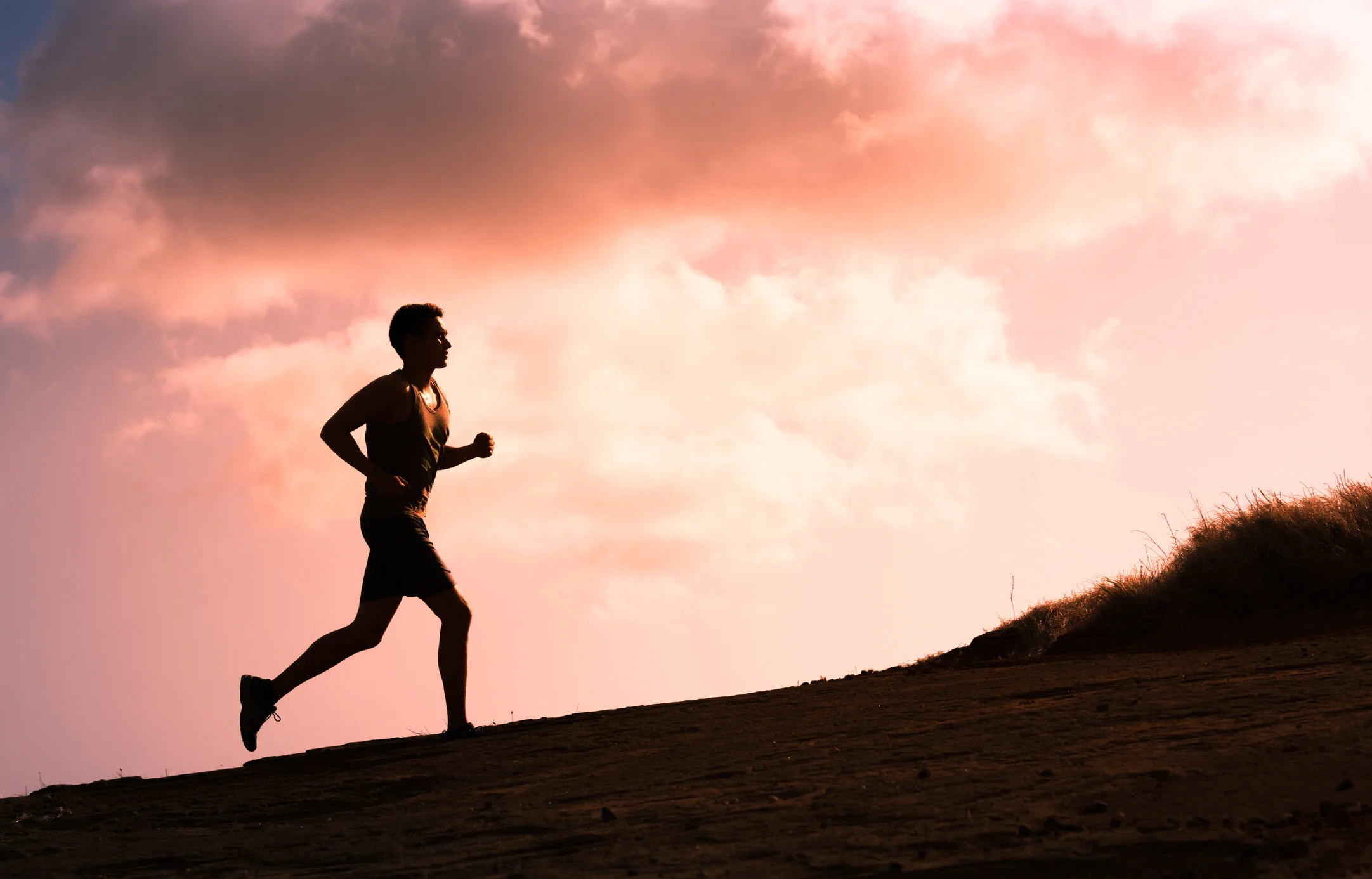 Make Adjustments or Go Home – Your Choice