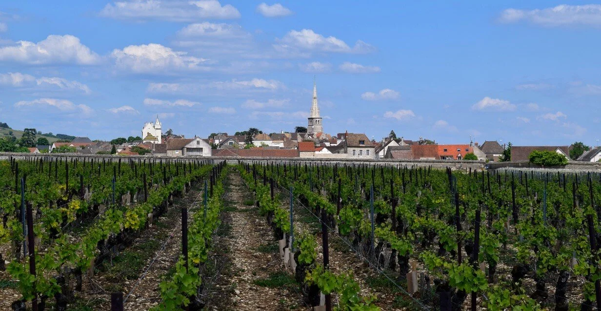 Burgundy's famous Meursault