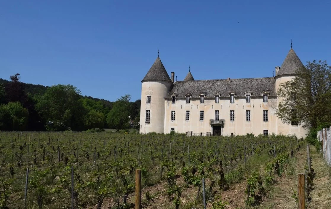 Château de Savigny