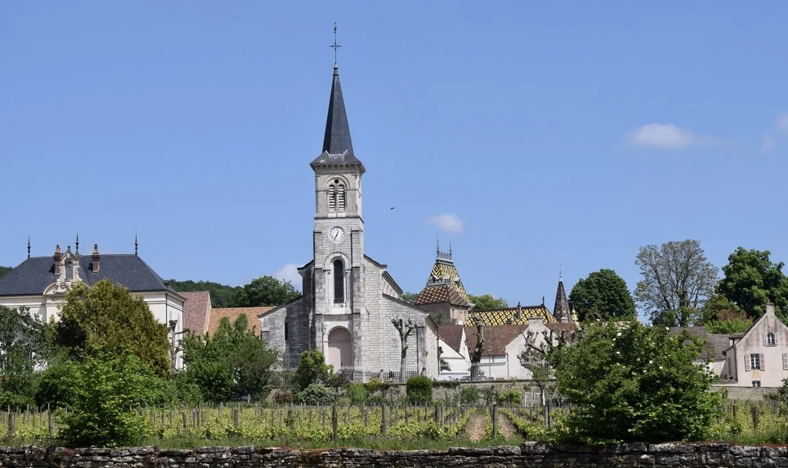 Beautiful Aloxe-Corton