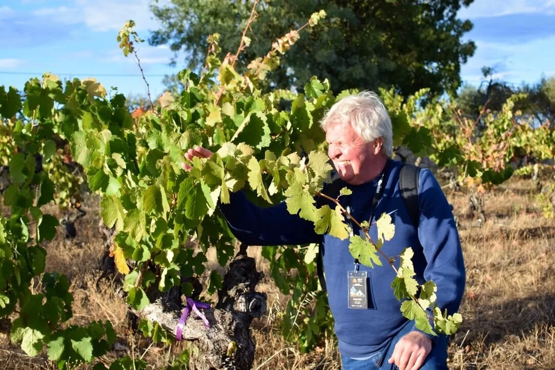 Getting a closer look!