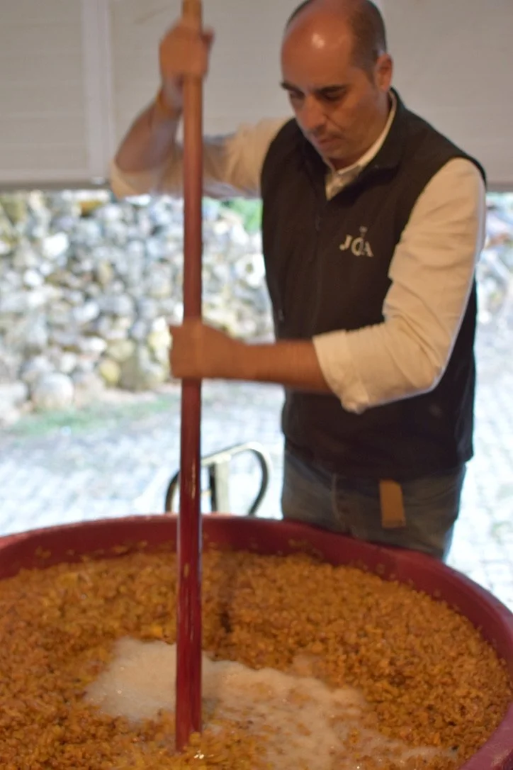 casa do Joa-wine-pressing-3.jpeg