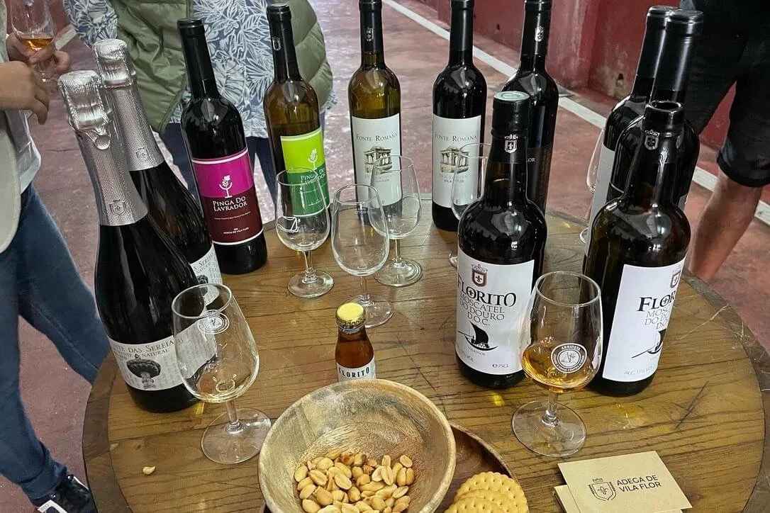 Tasting Adega de Vila Flor wines