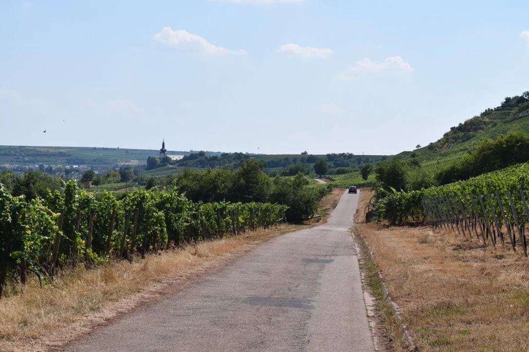 Typical bike paths
