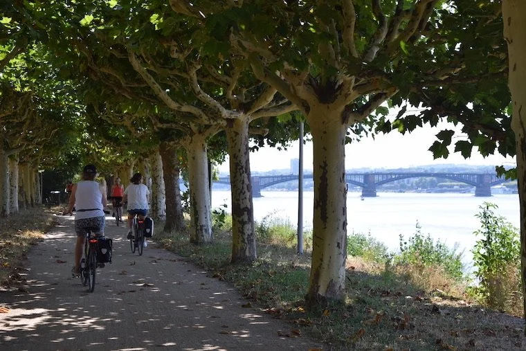 Cycling the River Rhine bike path