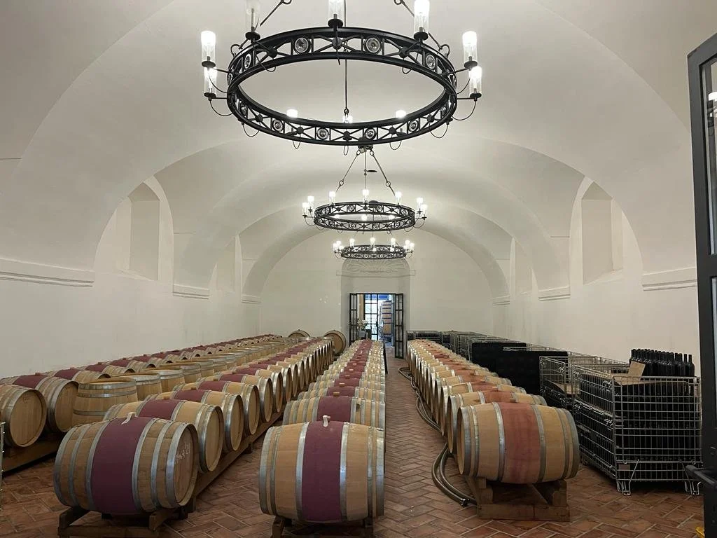 The cellars at Schloss Halbturn