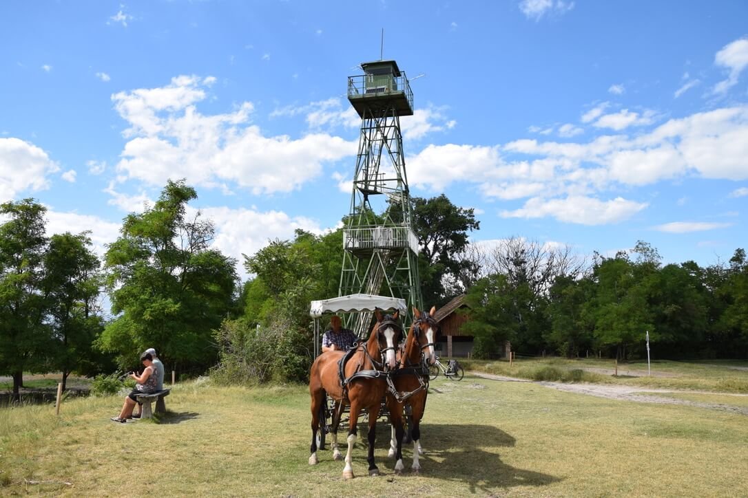 The Hungarian Watchtower