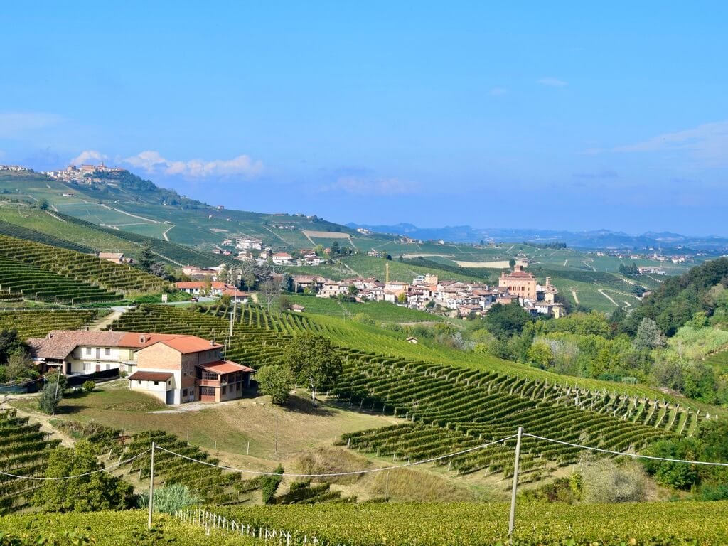 barolo-la morra.jpeg