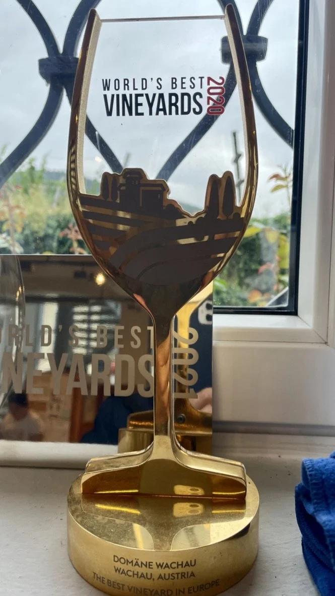 domane-wachau-best-vineyard.jpeg