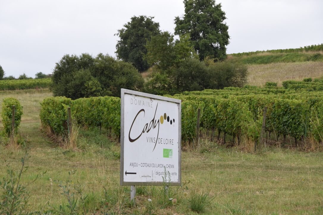 domaine-cady.jpeg