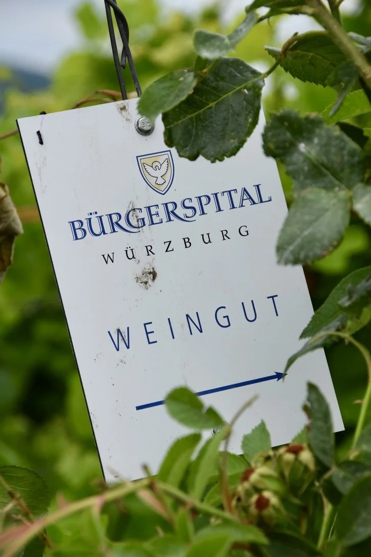 bürgerspital-vineyard.jpeg