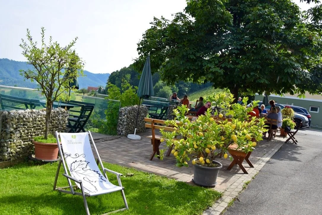 sausal-wine-trail-5.jpeg