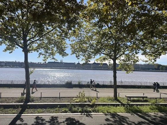 View from La Bastide over Bordeaux