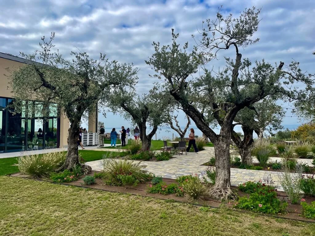 casetto-winery-3.jpeg