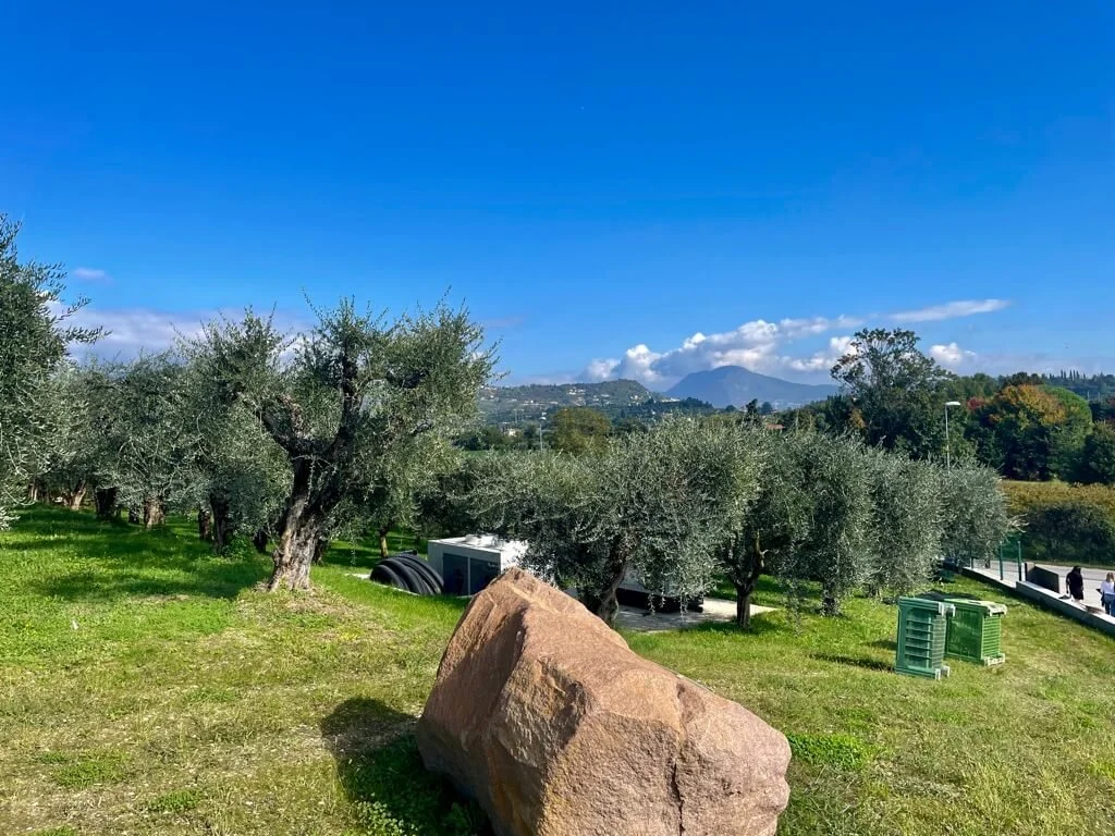 casetto-winery-bardolino.jpeg