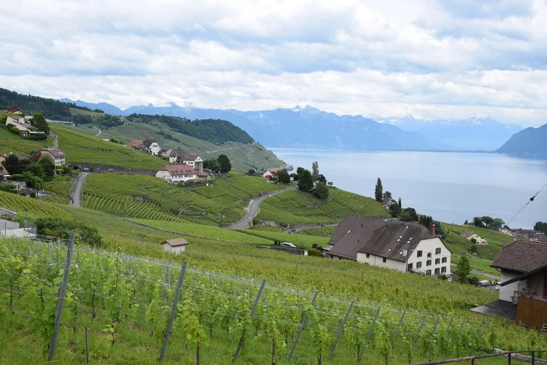 lavaux-villages.jpeg