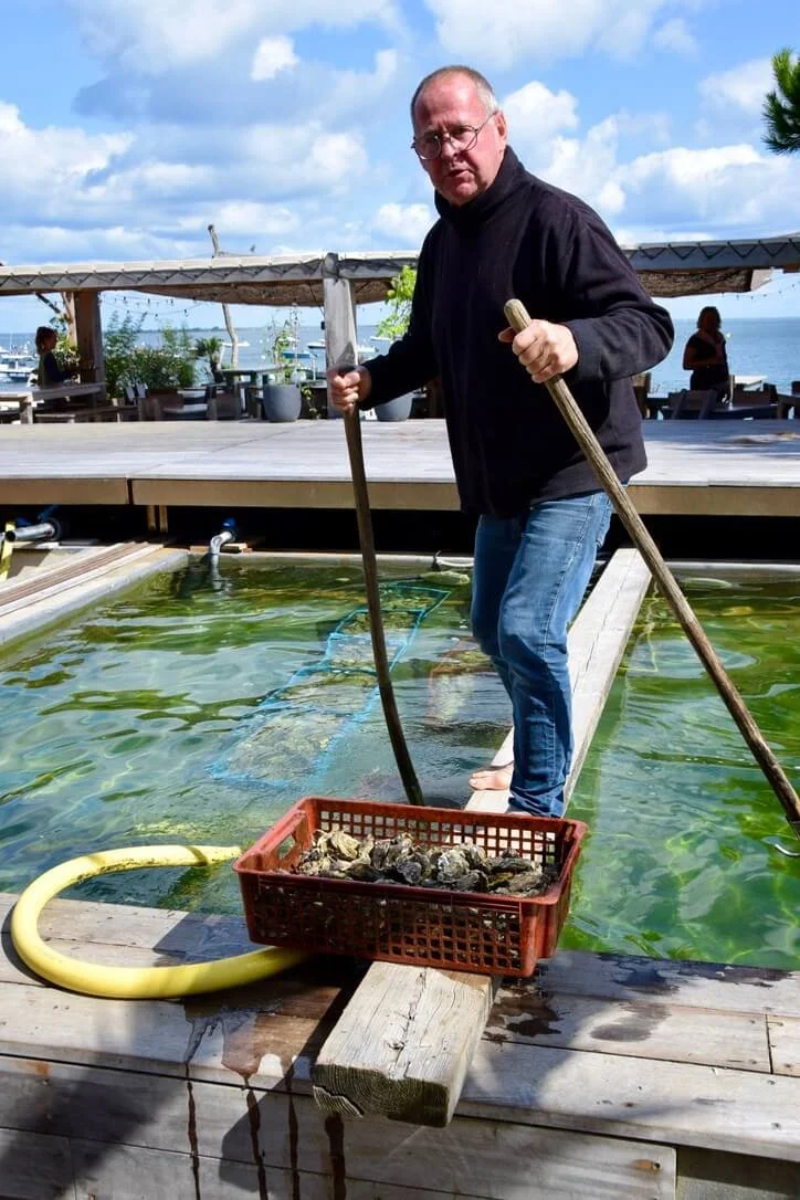 arcachon-oysters-3.jpeg