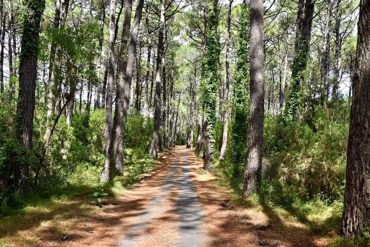 Great cycle paths and trails