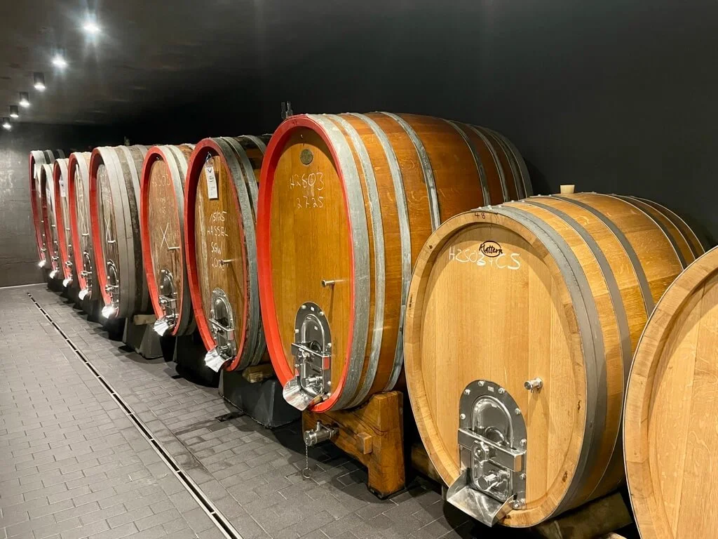weingut-barth-cellar-tour-2.jpeg