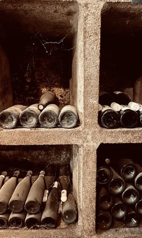 weingut-barth-cellar-tour-4.jpeg