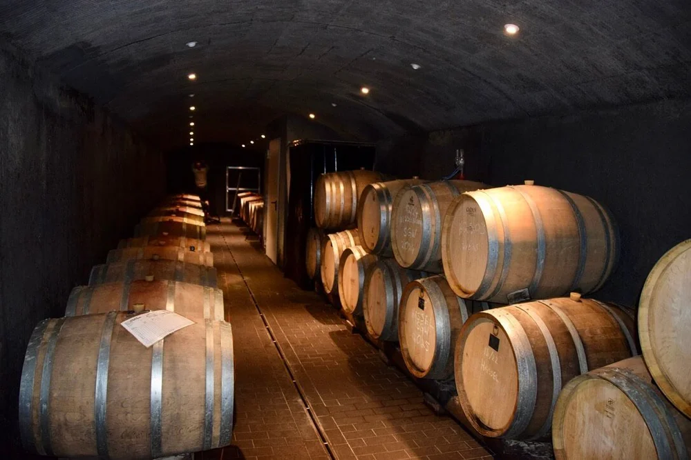 weingut-barth-cellar-tour.jpeg