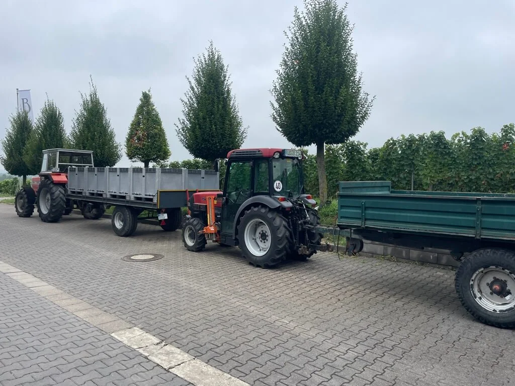 weingut-barth-harvest.jpeg