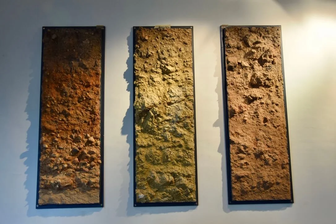 weingut-joachim-flick-soils.jpeg