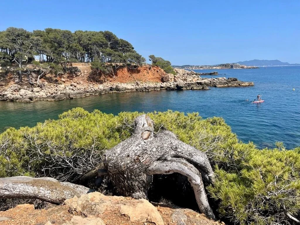 bandol-cove-2.jpeg
