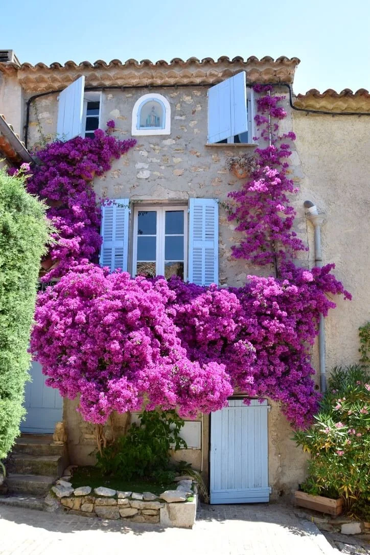 le-castellet-bandol-3.jpeg