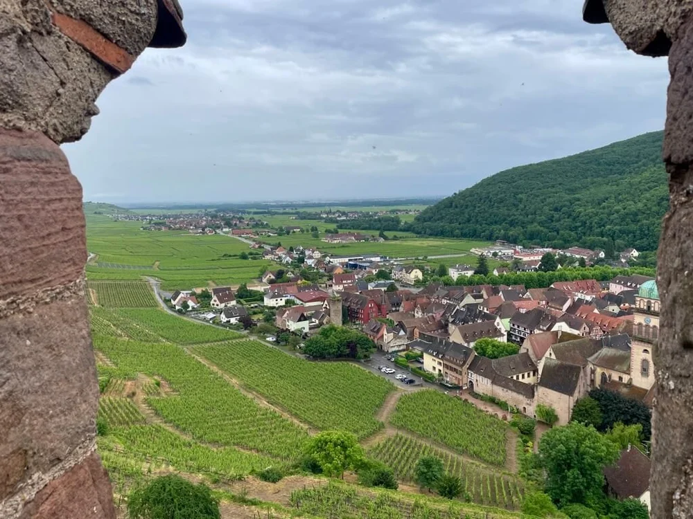 The view from Kaysersberg Castle
