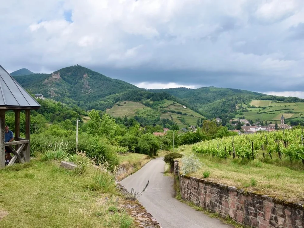 Ribeauvillé and the the three castles 