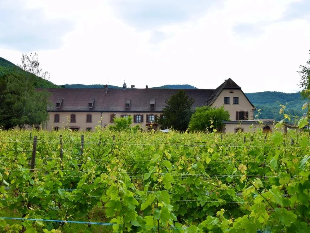 Domaine Weinbach - a former monastery