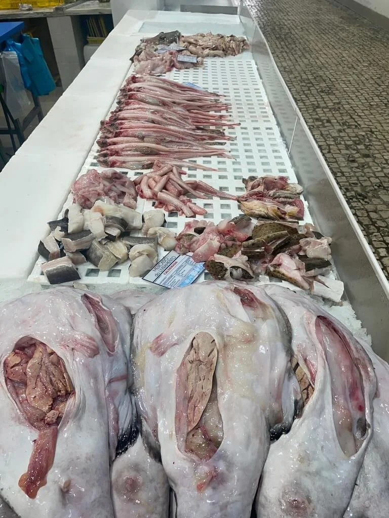 mercado-do-livramento-setubal-fish-3.jpeg