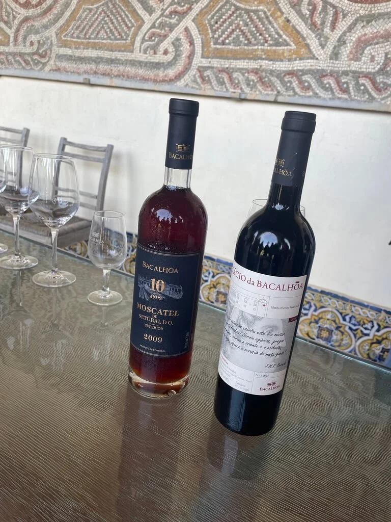 bacalhoa-wine-tasting.jpeg