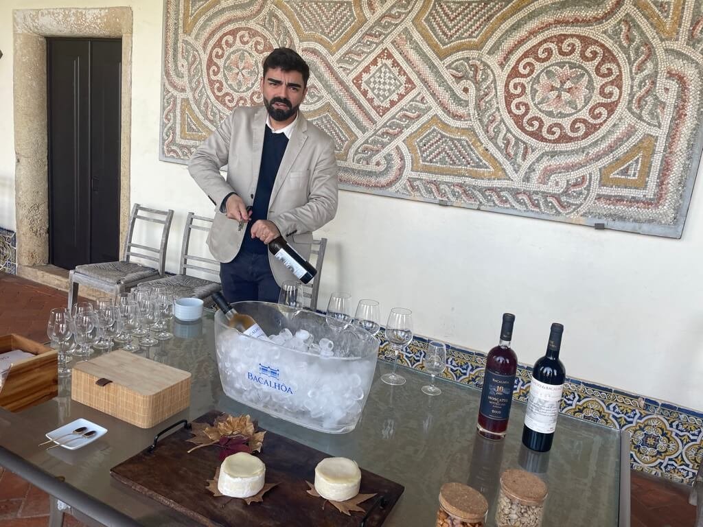 bacalhôa-vinhos-tasting.jpeg